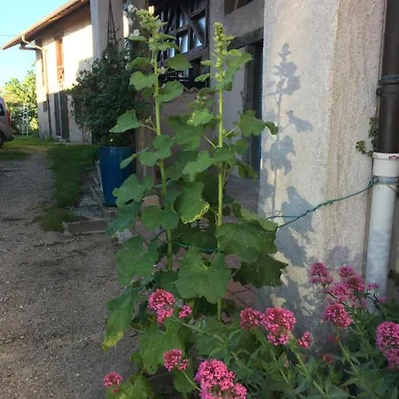 Les Colombages * Biziat