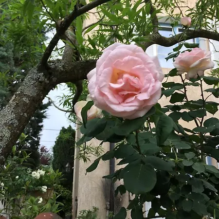 Les Colombages Biziat