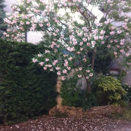 Appartement Les Colombages *